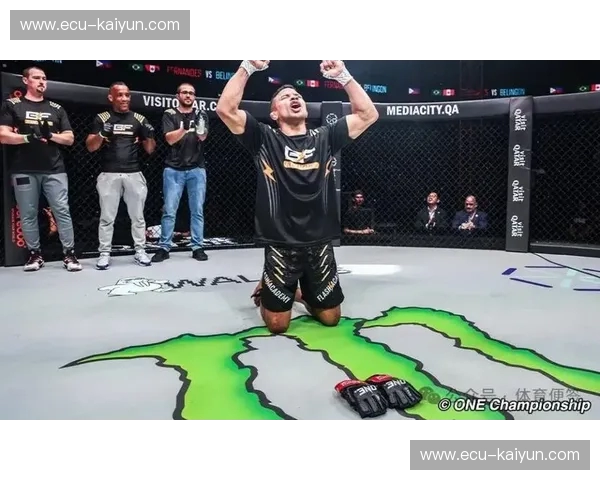 MMA直播新时代:零距离感受搏击魅力 MMA直播新时代:零距离感受搏击魅力